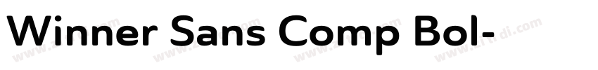 Winner Sans Comp Bol字体转换